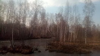 Долина реки Лутосня — фото 2