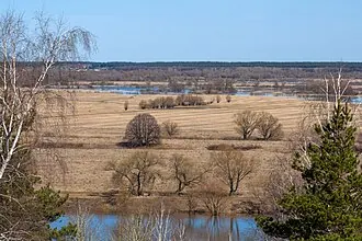 Озеро Сосновое и его окрестности