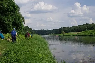 Местообитание кортузы Маттиоли на выходах известняков в долине реки Москвы — фото 2