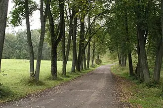 Звенигородское городище