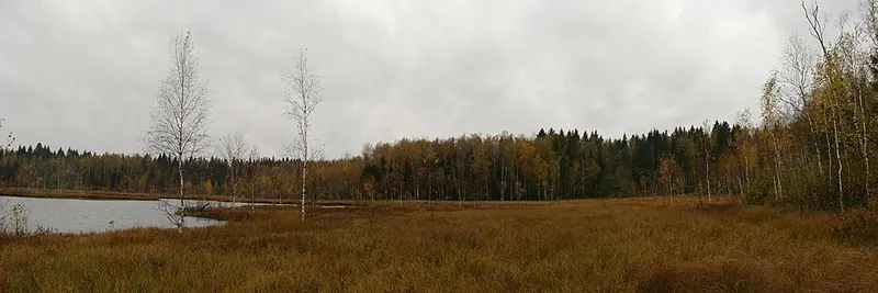Озеро Бельское с прилегающими лесами