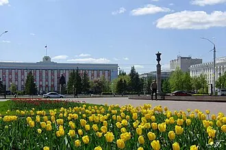 Дом Советов (Барнаул)