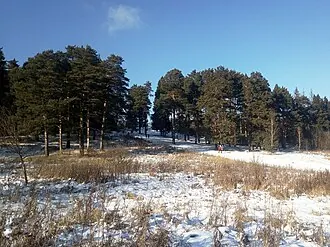 Мозжинский овраг