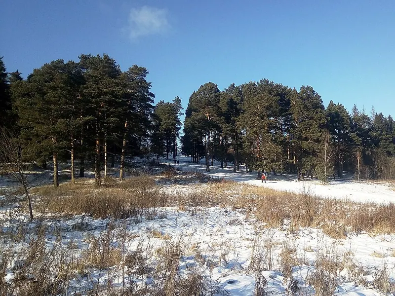 Мозжинский овраг