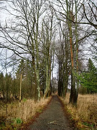 Высокое (усадьба, Нудоль) — фото 4
