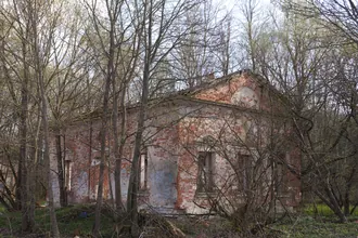Богородское (Кишкино) — фото 4