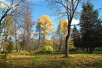 Зелёная зона дома отдыха Велегож