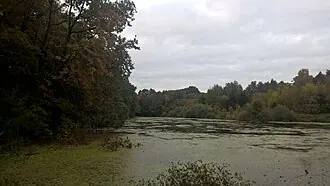 Зендиково (усадьба) — фото 2