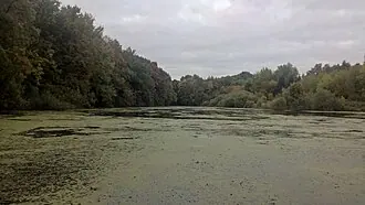 Зендиково (усадьба) — фото 3