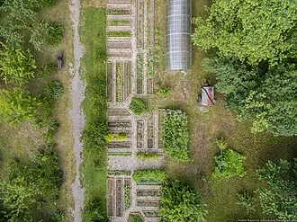 Дворяниново (усадьба) — фото 4