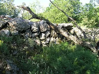 Асаране-Бурун