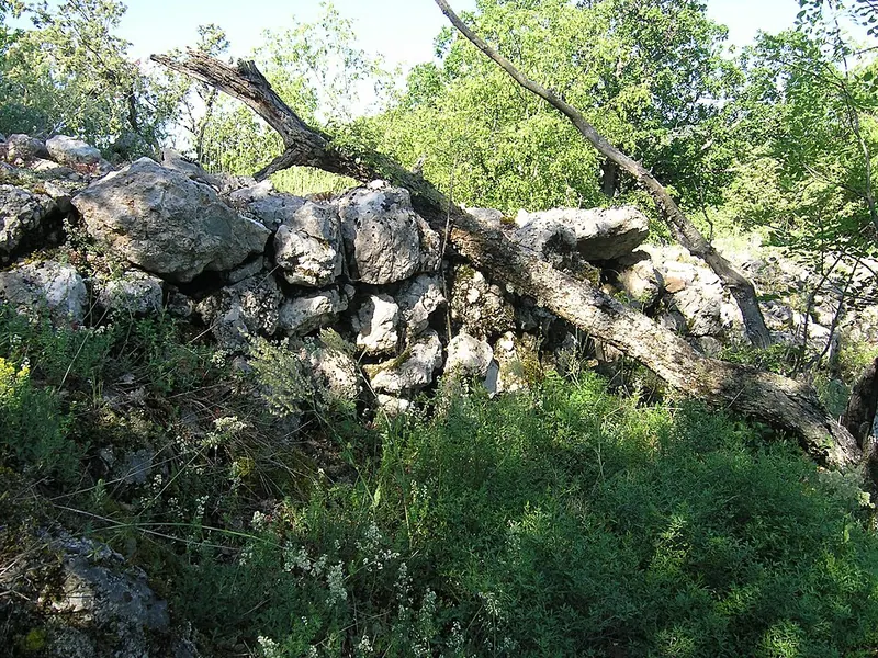 Асаране-Бурун
