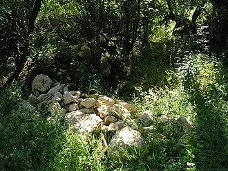 Асаране-Бурун — фото 4