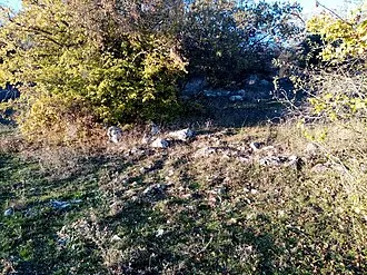 Бага (крепость)