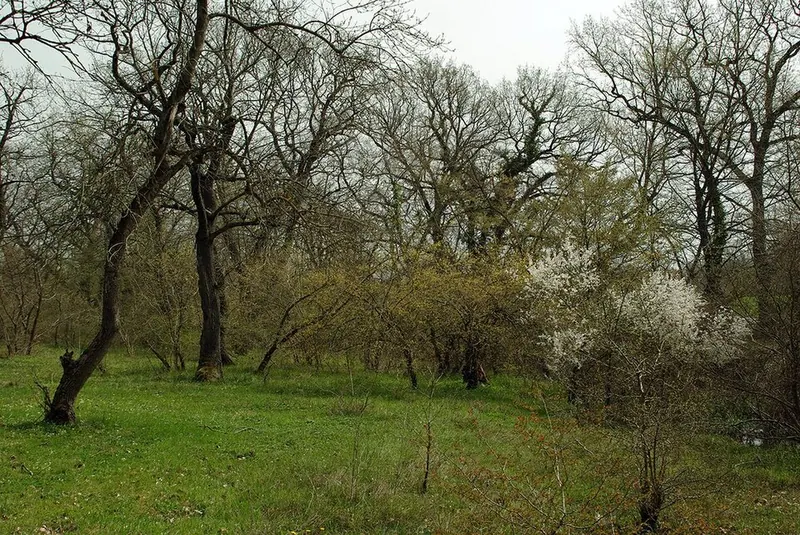 Самурский заказник