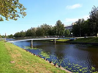 Думский мост (Колпино)