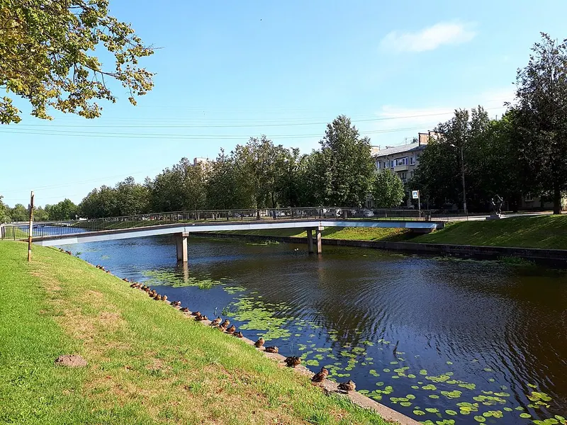 Думский мост (Колпино)
