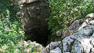 Пещера Максимовича