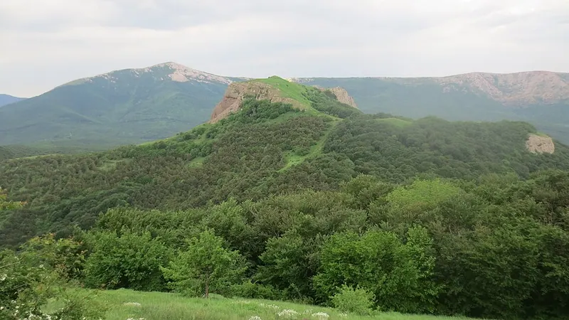 Пахкал-Кая