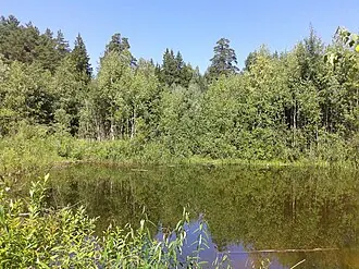Марий Чодра — фото 2