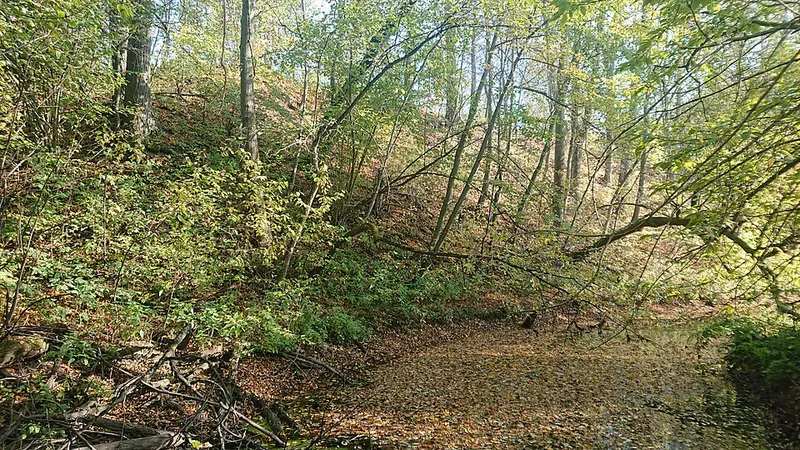 Кузнечики (городище)