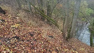 Кузнечики (городище) — фото 2