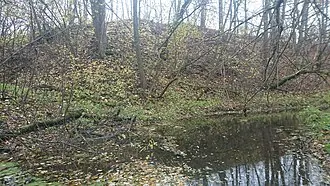 Кузнечики (городище) — фото 3