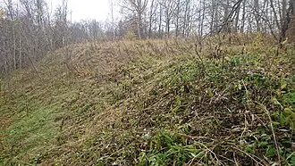 Кузнечики (городище) — фото 4