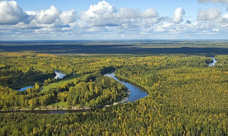 Васюганский заповедник
