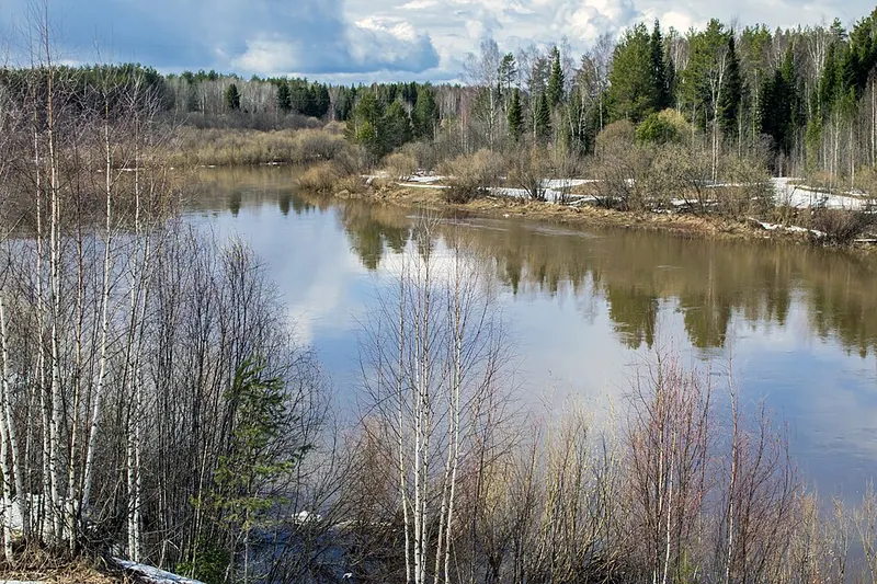 Койгородский