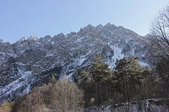 Цейский заказник