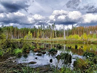 Воронежский заказник