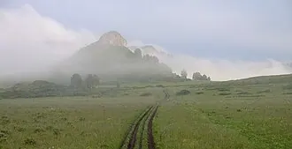 Тигирекский заповедник