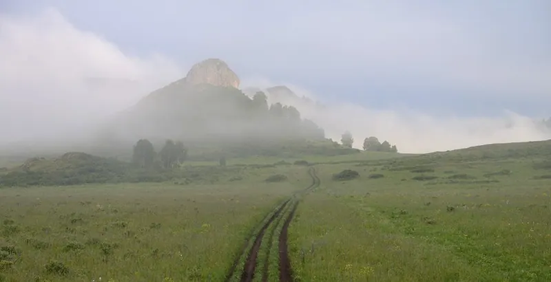 Тигирекский заповедник
