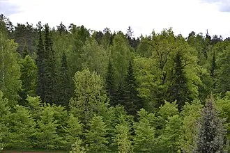 Лисинский заказник