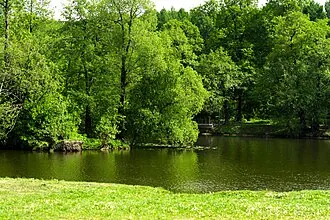 Кузьминский лесопарк — фото 2