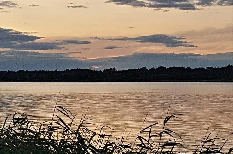 Череменецкий заказник