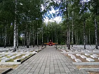 Сосневское кладбище — фото 2