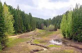 Самаровский Чугас