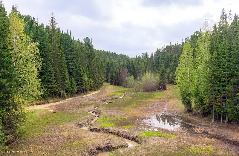 Самаровский Чугас